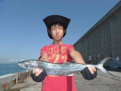 お見事！北港魚つり公園で立派なサゴシ