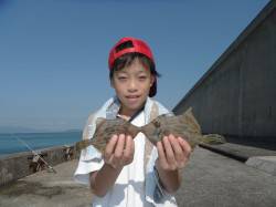 北港釣り公園　カワハギの釣果