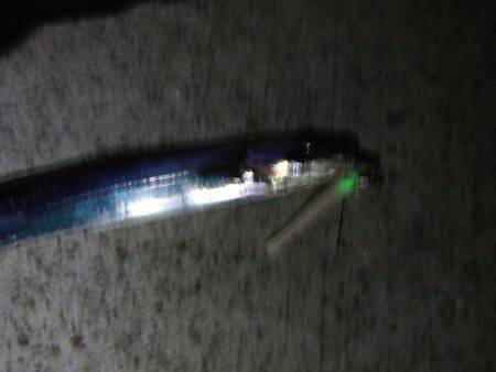 南芦屋浜　Ｆ3.5のしっかりしたタチウオが…