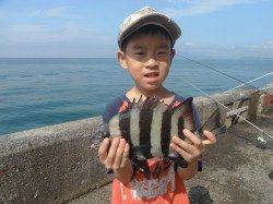 北港釣り公園　チヌ・アイゴ・サンバソウの釣果