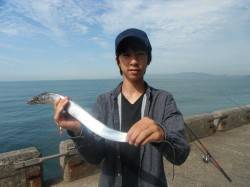 北港釣り公園　タチウオ＆アコウの釣果