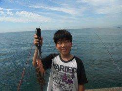 北港釣り公園　タチウオ＆アコウの釣果