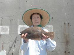 和歌山北港魚つり公園　ヒラメ35cmをキャ…