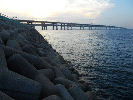 りんくうテトラにてタチウオ狙い　アタリは完…