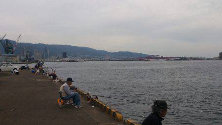 兵庫突堤 指3本半筆頭に計17匹のタチウオ…