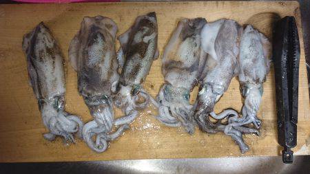 香住　三連休にファミリーでお泊まりフィッシ…