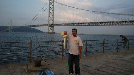 アジュール舞子　陸っぱりからジグでメジロ6…