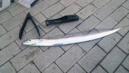 大阪南港　ワインドでタチウオ初めて釣りまし…