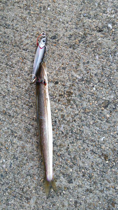 神戸港4,5,6,8防　 ワインド・ジギン…