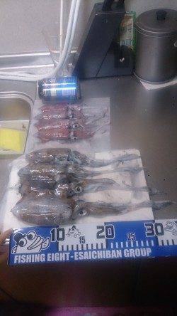 舞子エギングでアオリイカとケンサキイカの釣果