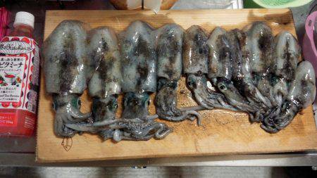 スーパームーンの明石港でエギング　三時間で…