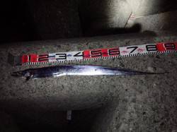 助松埠頭　仕事帰りのワインド釣行☆