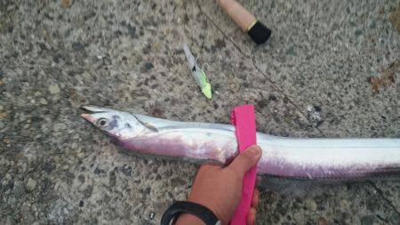 武庫川一文字タチウオワインド　表層～中層速…