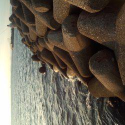 大津川河口右岸でタチウオ狙い　時合は日が落ちてからの30分