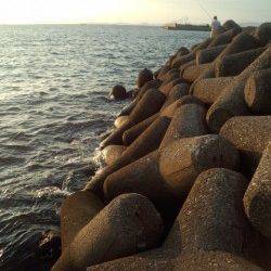 大津川河口右岸でタチウオ狙い　時合は日が落ちてからの30分