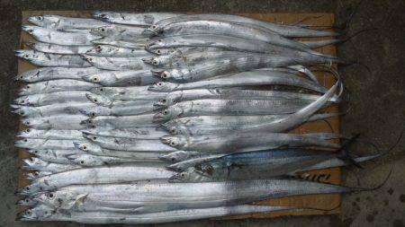 日高港タチウオワインドの釣果〜ベイトが入っ…