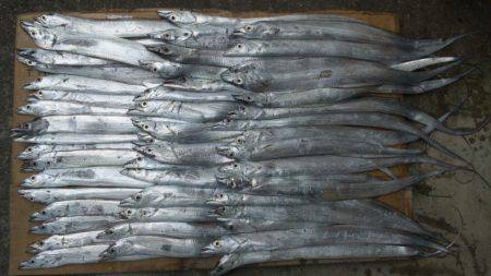 田村漁港　今日のワインド釣行も絶好調