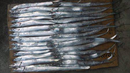 濱ノ瀬　タチウオワインド好調キープ！