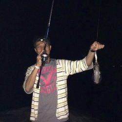 林崎漁港　エギングでアオリイカの釣果