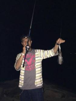 林崎漁港　エギングでアオリイカの釣果