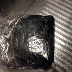 林崎漁港　エギングでアオリイカの釣果