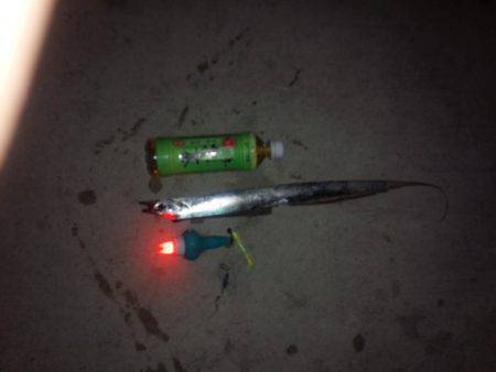 南塩屋のタチウオの釣果　投光器使用の釣り人…