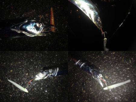 神戸の湾奥にてワインドでタチウオ　2時間ほ…