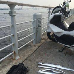 コスモで出勤前釣行　最近はメタル系の方がタチウオ釣果よいです☆