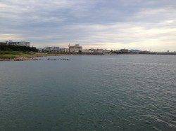 林崎漁港でサヨリ狙い　針はサヨリの3.5号を使用