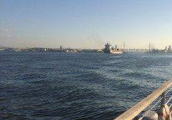 大阪南港魚つり園　タチウオワインドで1匹、バイブレーションで4匹