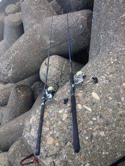 大阪南港　朝方はタチウオ・日が上がってサゴシの回遊あり