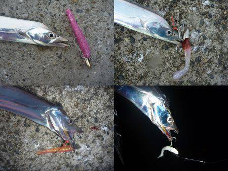 武庫川一文字　秋タチシーズン開幕♪　二人で…