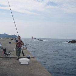 神谷　沖向きでカゴ釣り、イサギがＨＩＴ！