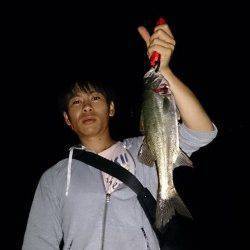 武庫川河口　鉄板系バイブで底を狙いバイト4本中シーバス2本ゲット