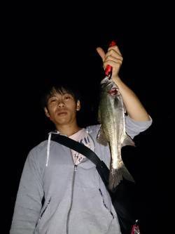 武庫川河口　鉄板系バイブで底を狙いバイト4…