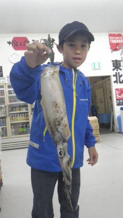 串本漁港にてエギング　アオリイカ790ｇを…