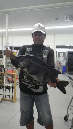 椿　イシダイの58cm出ました