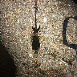 明石港エギングで新子のアオリイカ　マヅメで連発