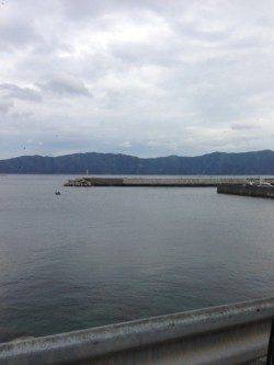 小浜・阿納～犬熊周辺でエギング　昼過ぎにアオリイカ連続2ヒット