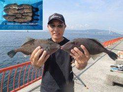 良型のウマヅラハギを9枚ゲット！　平磯海づり公園