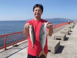 平磯海づり公園　バイブレーションでツバス・…