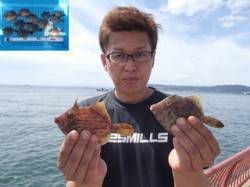 平磯海づり公園　シラサの胴突でカワハギ13…