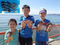 平磯海釣り公園　胴突仕掛でマルハギ＆ベラ