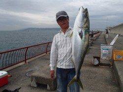 平磯海づり公園　アジをエサに記録賞サイズのブリ81cm！