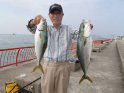 平磯海づり公園　メジロ60cm&ハ…