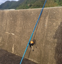 日置川河口半夜で投げ釣り　チャリコの釣果