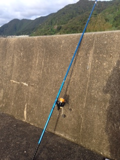日置川河口半夜で投げ釣り　チャリコの釣果