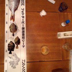 平磯海づり公園　胴突仕掛けの探り釣りでカワハギなど