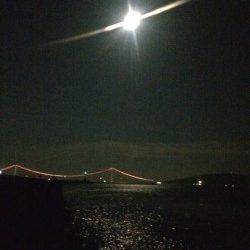 林崎漁港　エギングでトンカツサイズのアオリイカをGET