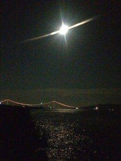 林崎漁港　エギングでトンカツサイズのアオリイカをGET